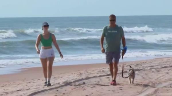 声音，投票:在佛罗里达海滩养狗是个好主意吗?